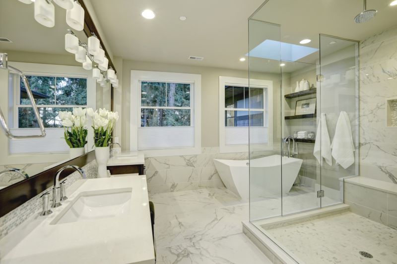Modern Tub and Shower Combo
